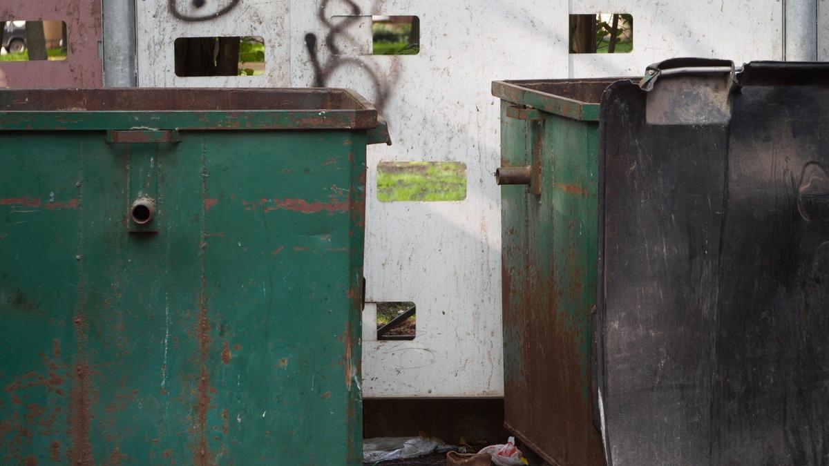 Фото: Дмитрий Абрамов / МР7