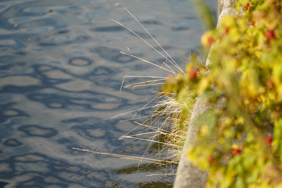 Фото: Павел Борисенко / MR7