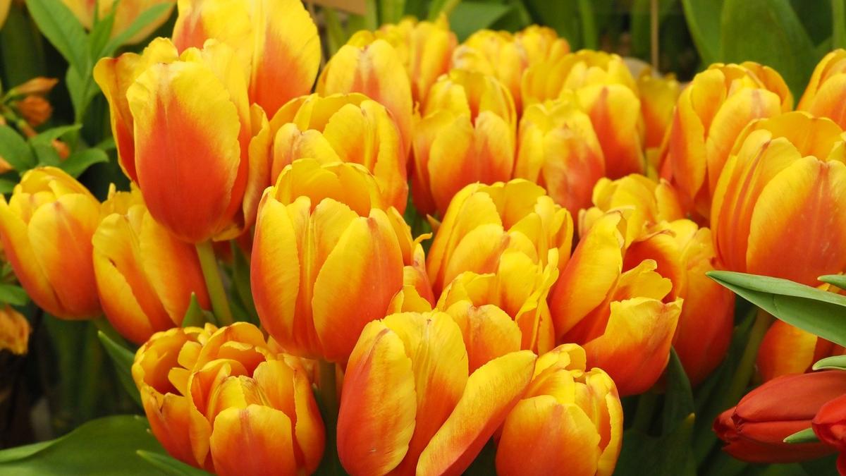 7 поводов выйти из дома 7-9 марта