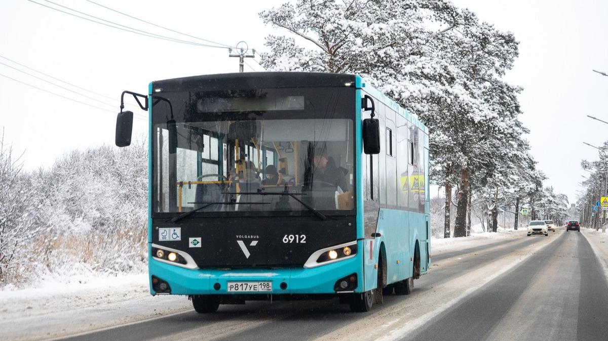 Трассы шести автобусов изменили из-за работ на сетях на Муринской дороге