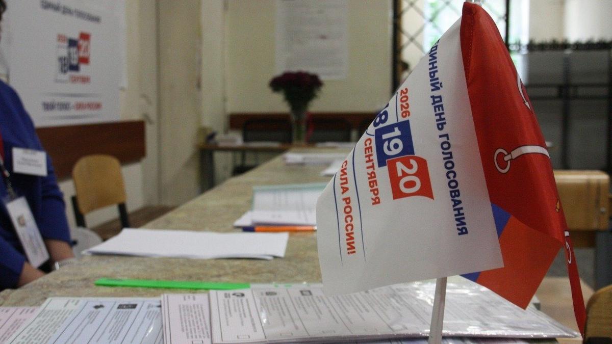 Второй день выборов в Петербурге. Итоги