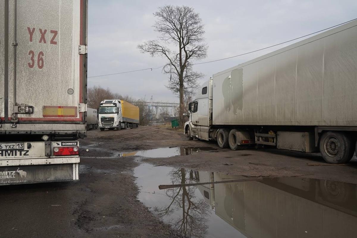 Фото: Павел Борисенко / МР7