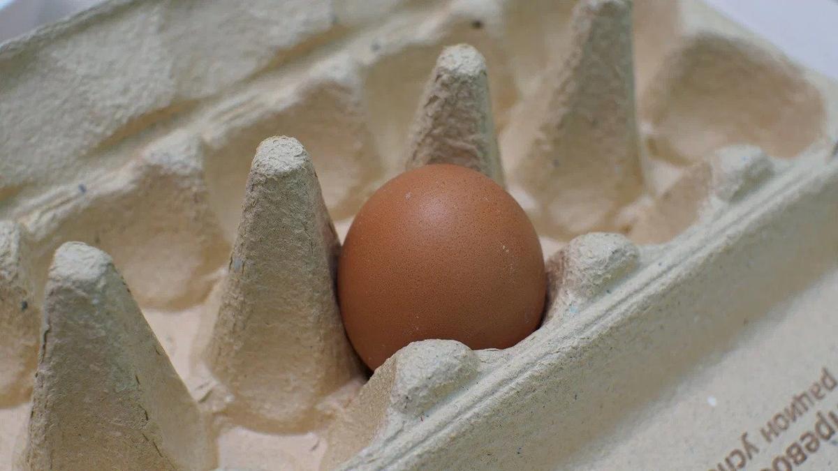 Фото: Дмитрий Абрамов / MR7