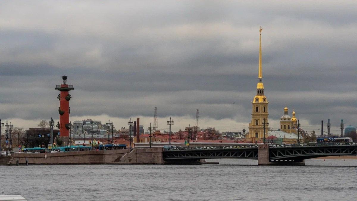 Фото: Олег Золото / MR7