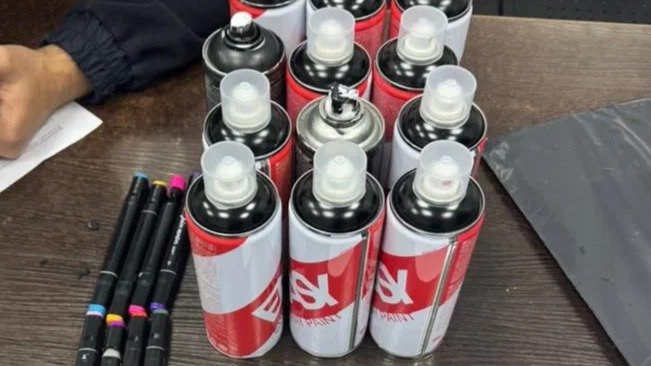 Фото: ГУ МВД по Петербургу и Ленобласти