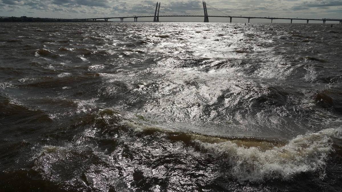 Фото: Павел Борисенко / MR7