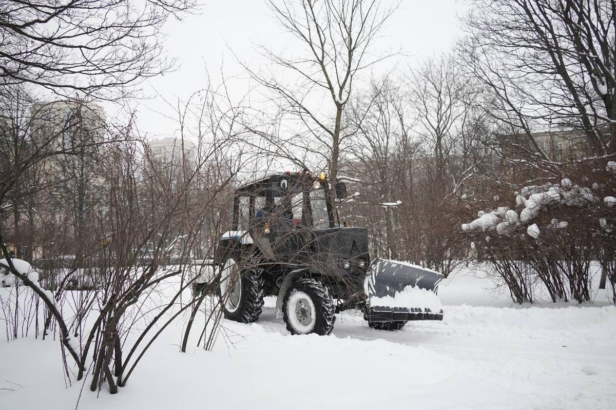 Фото: Павел Борисенко / MR7