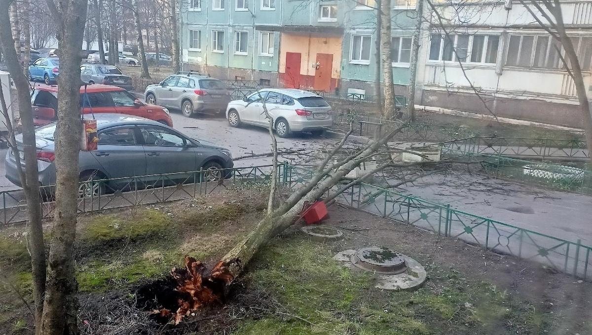 Фото: ДТП и ЧП | Санкт-Петербург | Питер Онлайн | СПб