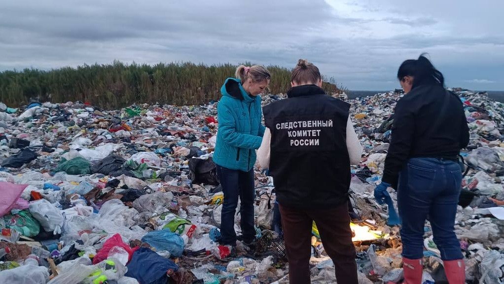 Фото: СК по Ленобласти