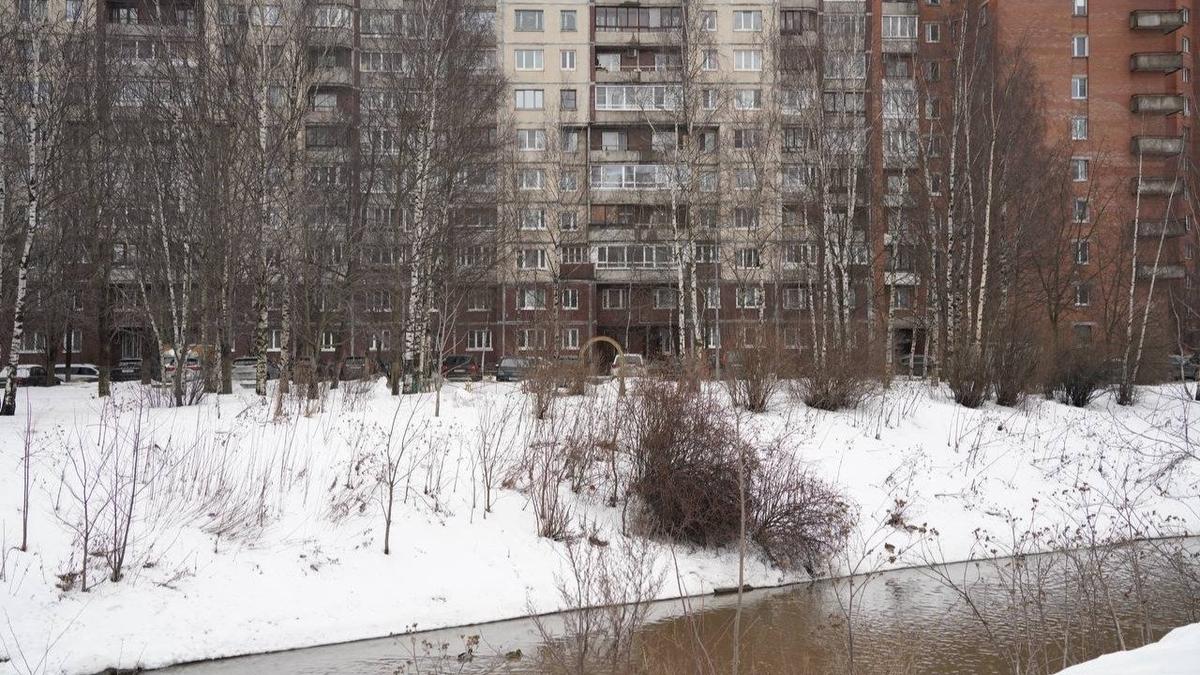 Российско-Белорусская весна в Петербурге — на календаре первый день марта, на улице оттепель