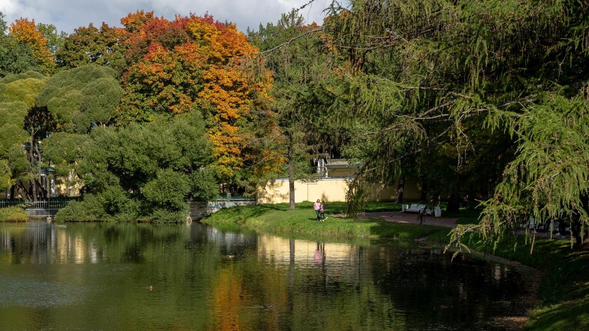 «Саду нужно позволить быть садом» — интервью об «общественных пространствах»