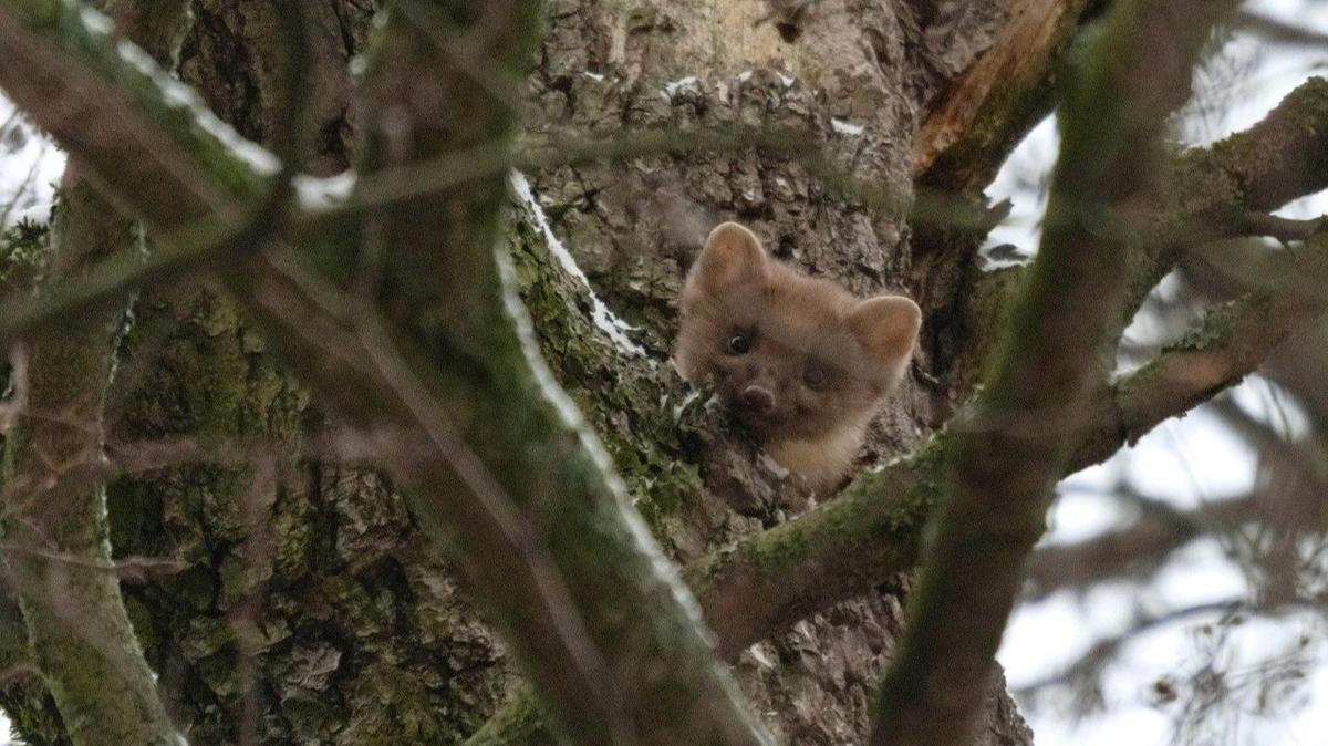 Фото: Ольга Якубова