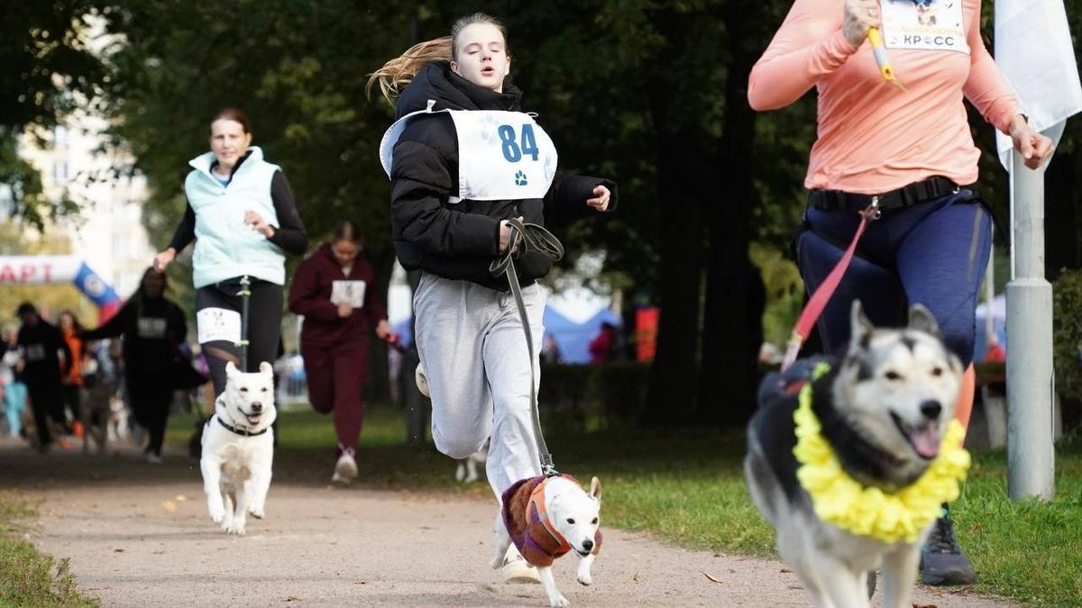 Петербуржцы и их питомцы вышли на старт «Необыкновенного кросса»