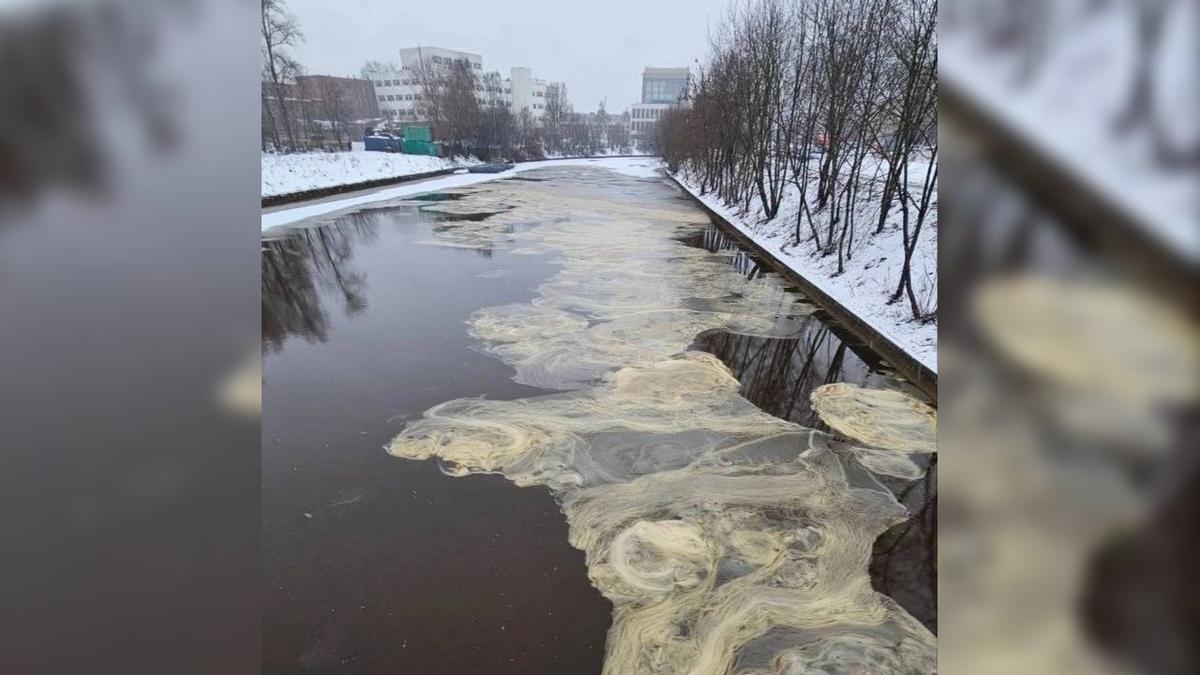 Фото: администрация Красногвардейского района