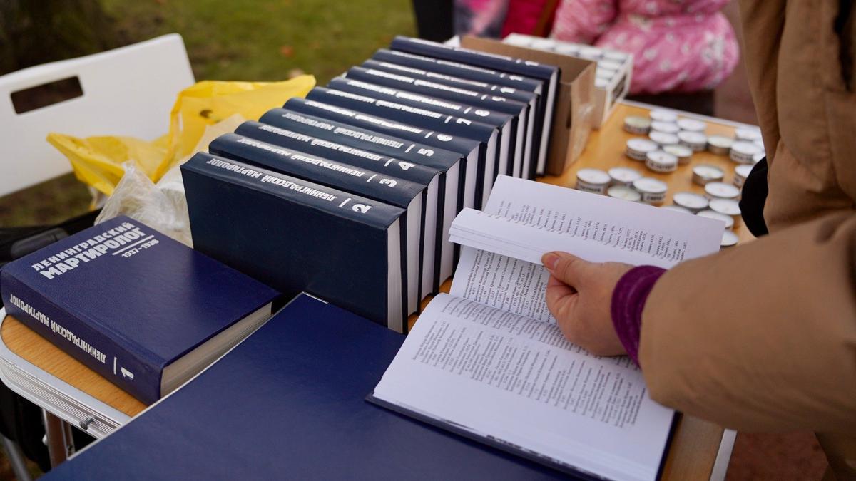 Фото: Павел Даиси / MR7