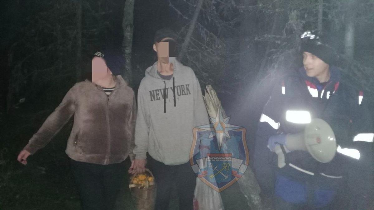 Заблудившихся грибников вывели из леса спасатели Ленобласти