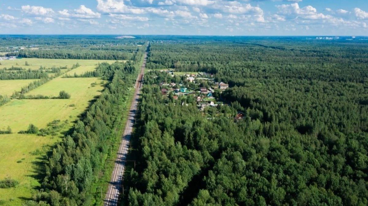 Фото: Российский аукционный дом