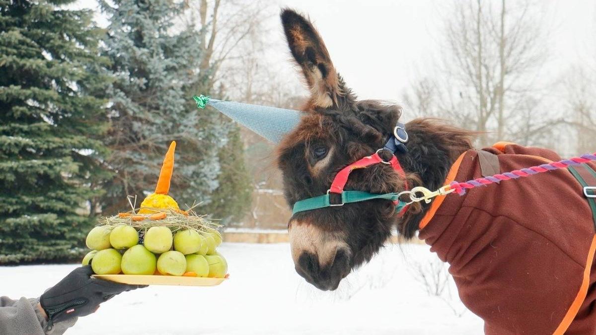 Фото: Ленинградский зоопарк