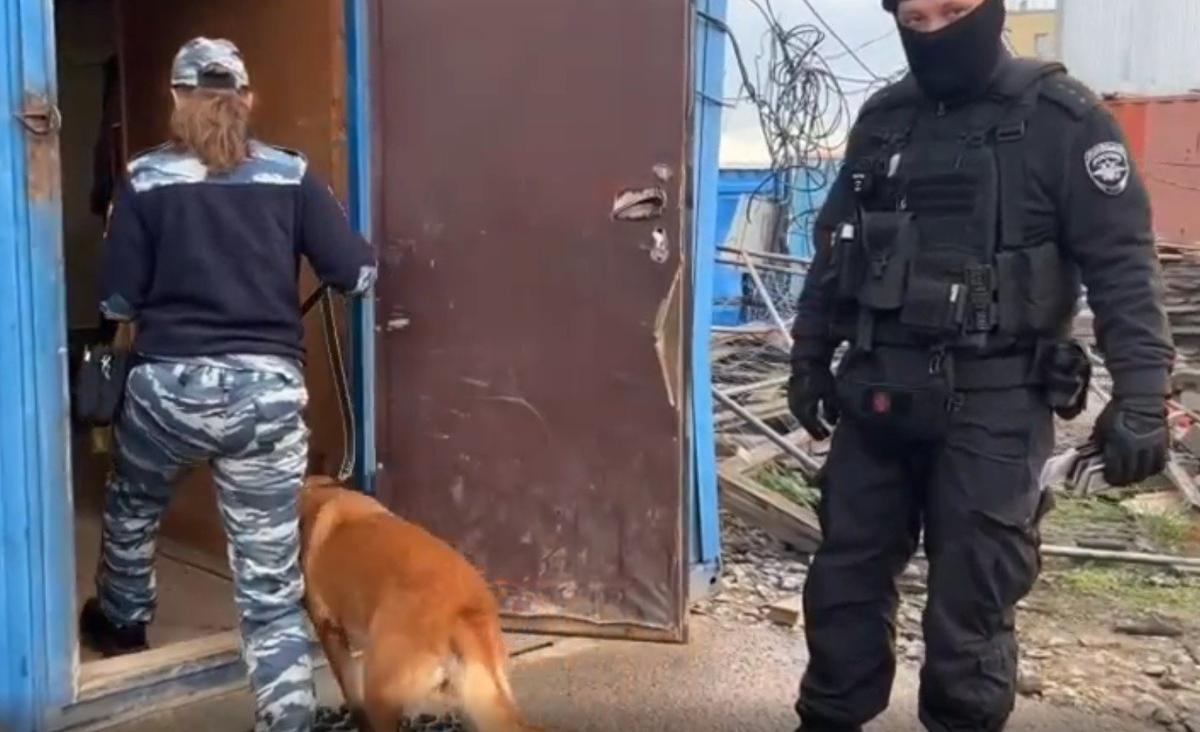 Скриншот видео: ГУ МВД по Петербургу и Ленобласти
