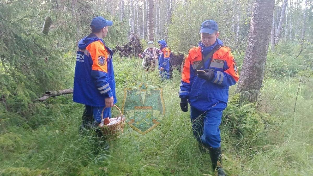 Фото: Аварийно-спасательная служба Ленобласти
