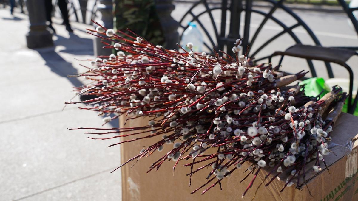 7 поводов выйти из дома 4 — 5 апреля