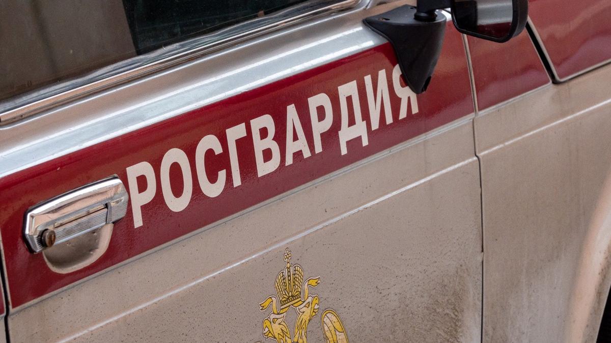 Фото: Олег Золото / МР7