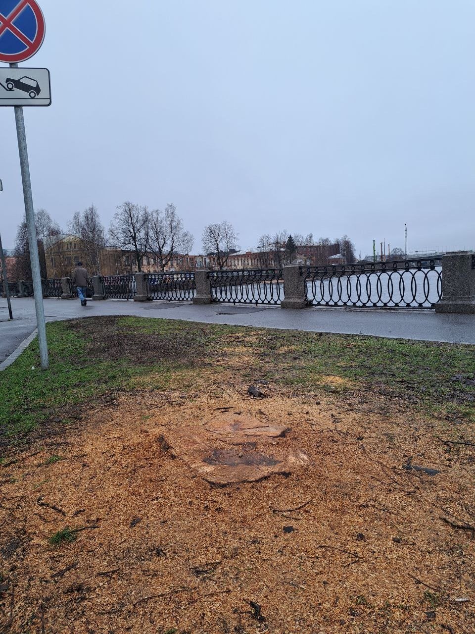 Фото: «Заросли — Парк на Малой Неве»