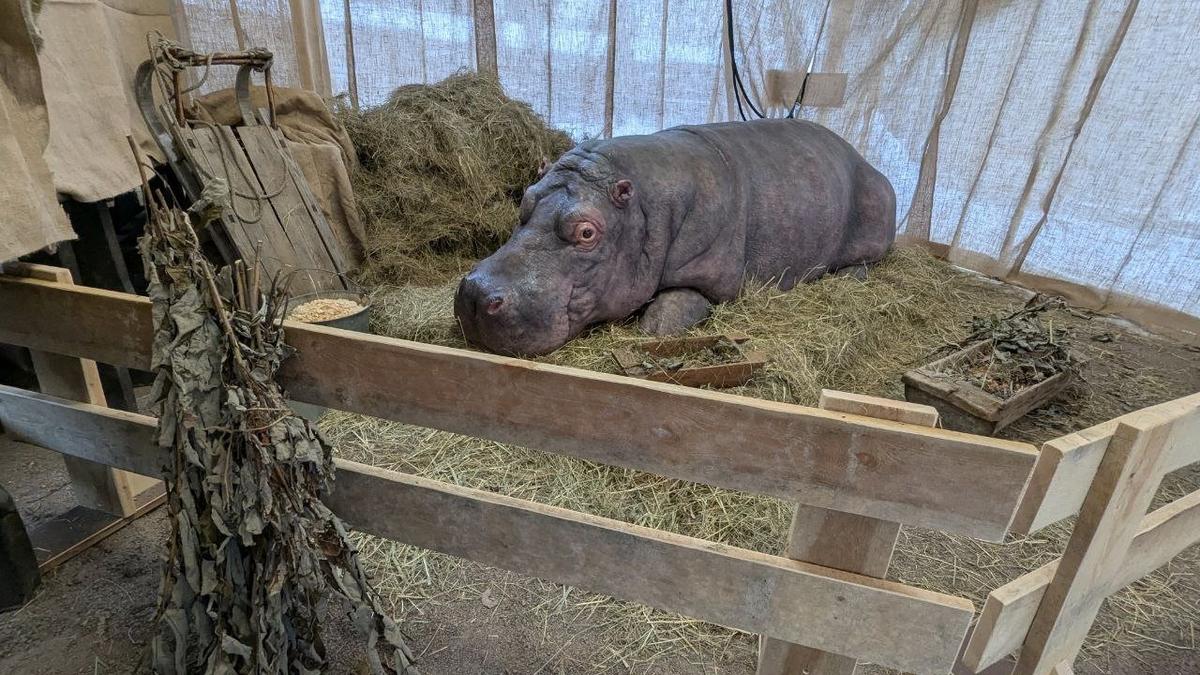 Фото: пресс-служба Ленинградского зоопарка