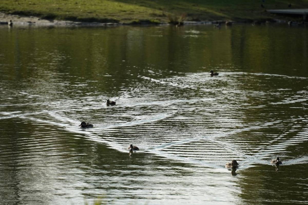Фото: Павел Борисенко / MR7