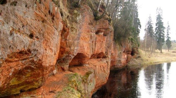 «Просим оставить хоть что-то для тех, кто придёт после нас»: как супружеская пара из Ленобласти отстаивает берег Оредежа