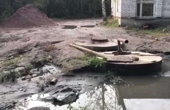 За загрязнение реки Рощинка «Леноблводоканал» заплатит 60 тысяч рублей