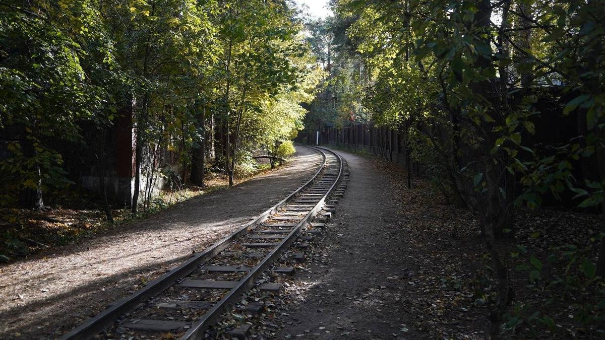 Фото: Павел Борисенко / МР7