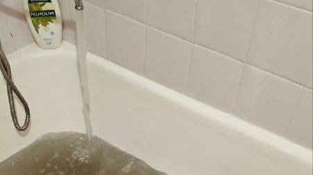 Фото: Красносельский район Live