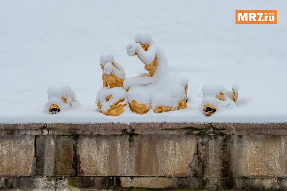 Фото: Олег Золото / MR7