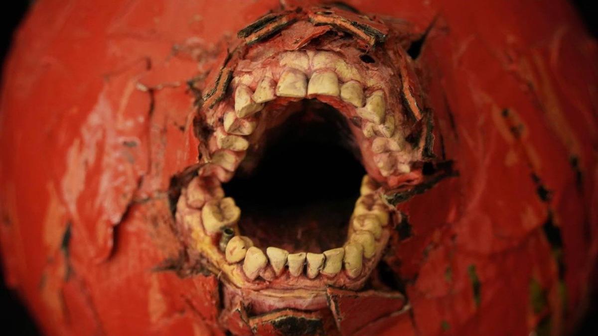 Фото: Павел Борисенко / МР7