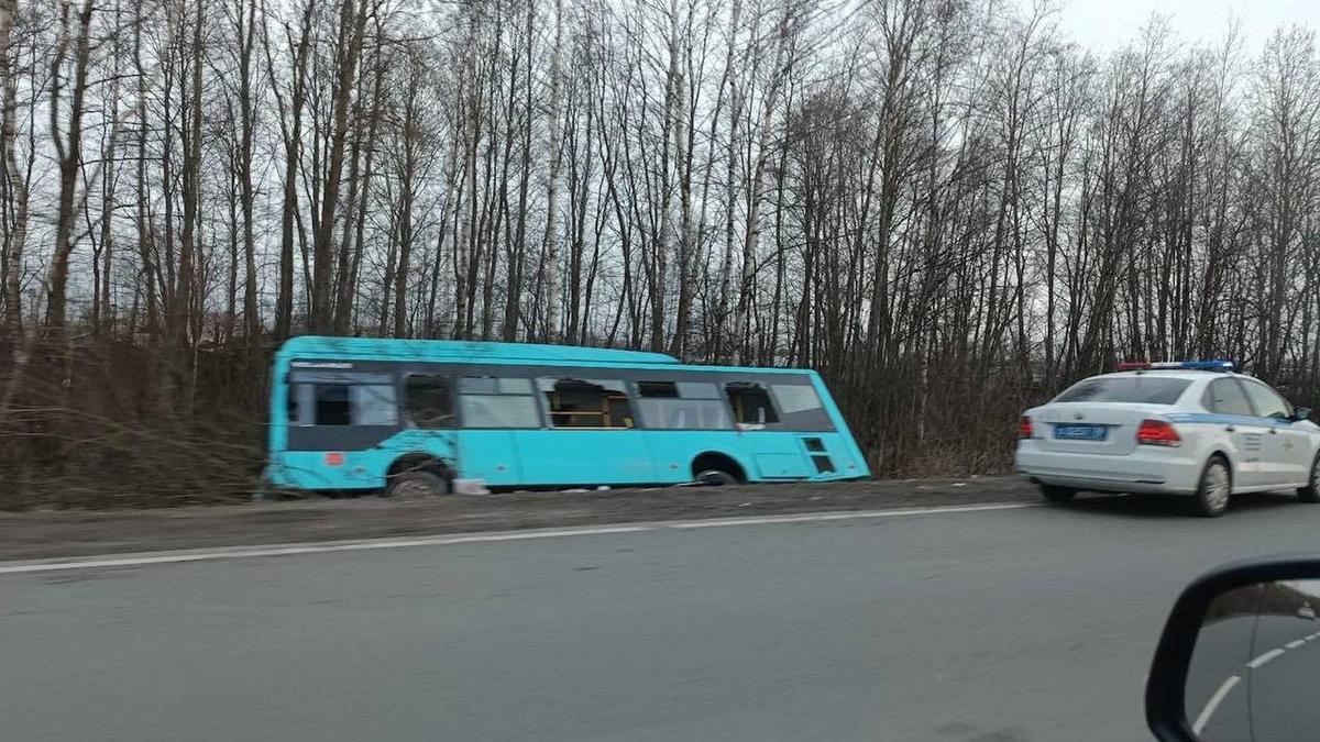 Фото: «КОЛПИНО ТУТ»