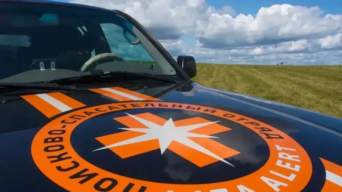 Волонтёры обработали 382 заявки о потерявшихся в Петербурге и Ленобласти за август