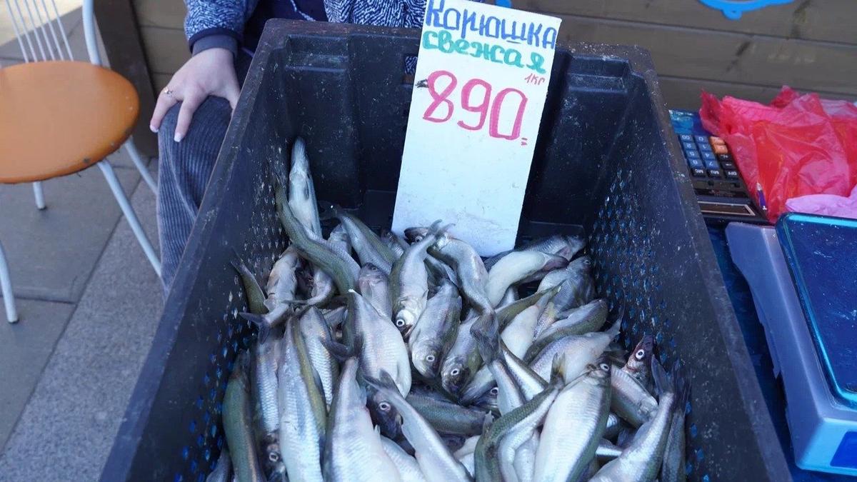 Фото: Павел Борисенко / МР7