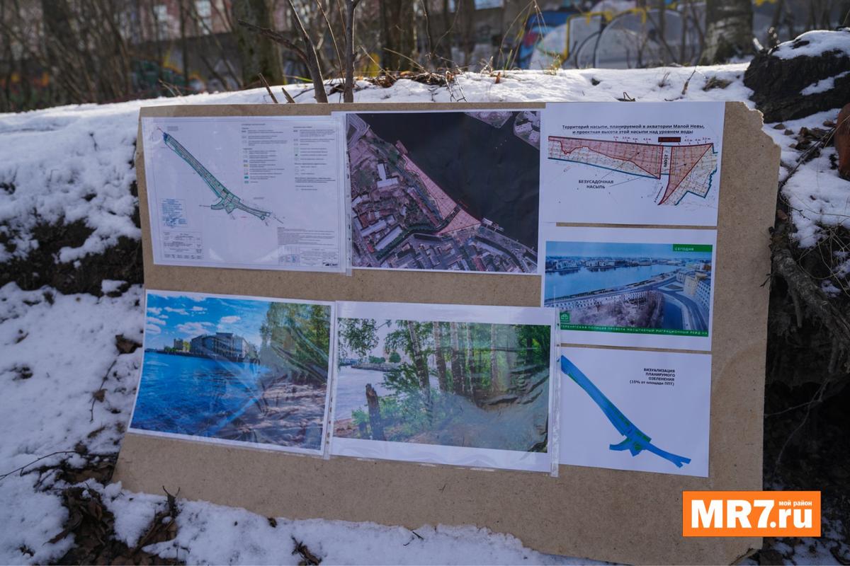 Фото: Виктория Арефьева / MR7