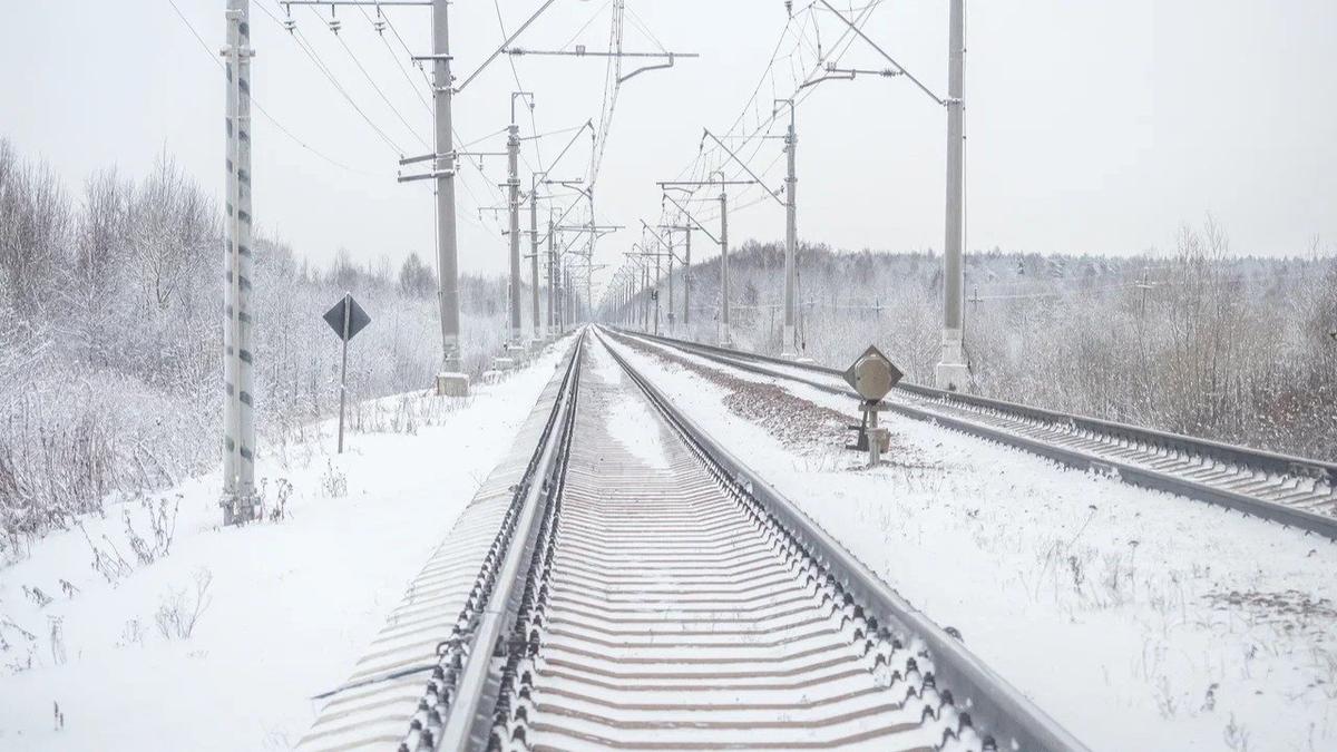 Фото: Олег Золото / MR7