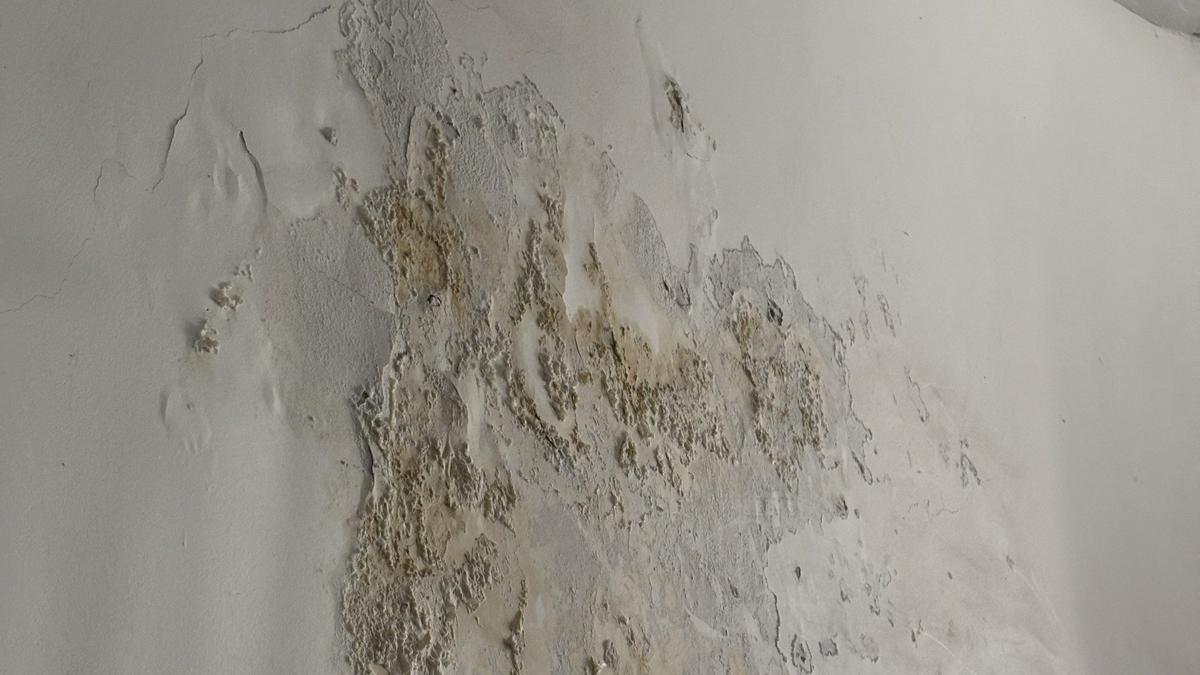 Стены дома. Фото: Анна Романова