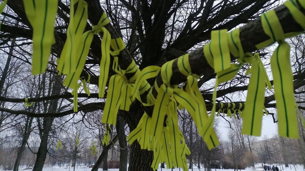 Фото: Елена Михина / MR7