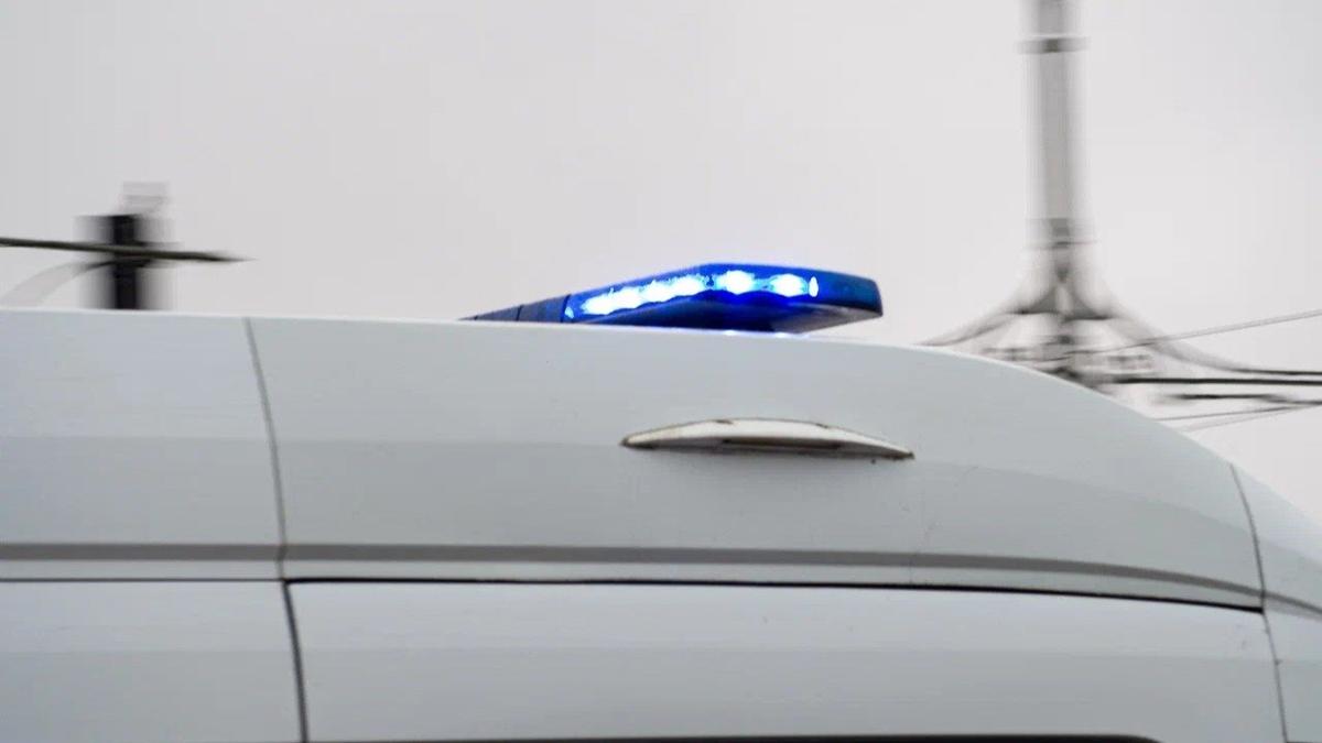 Фото: Дмитрий Абрамов / МР7