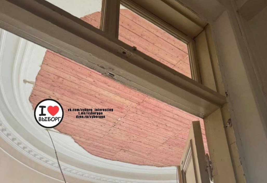 Фото: «Выборг Go»