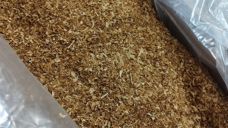 Фото: Россельхознадзор