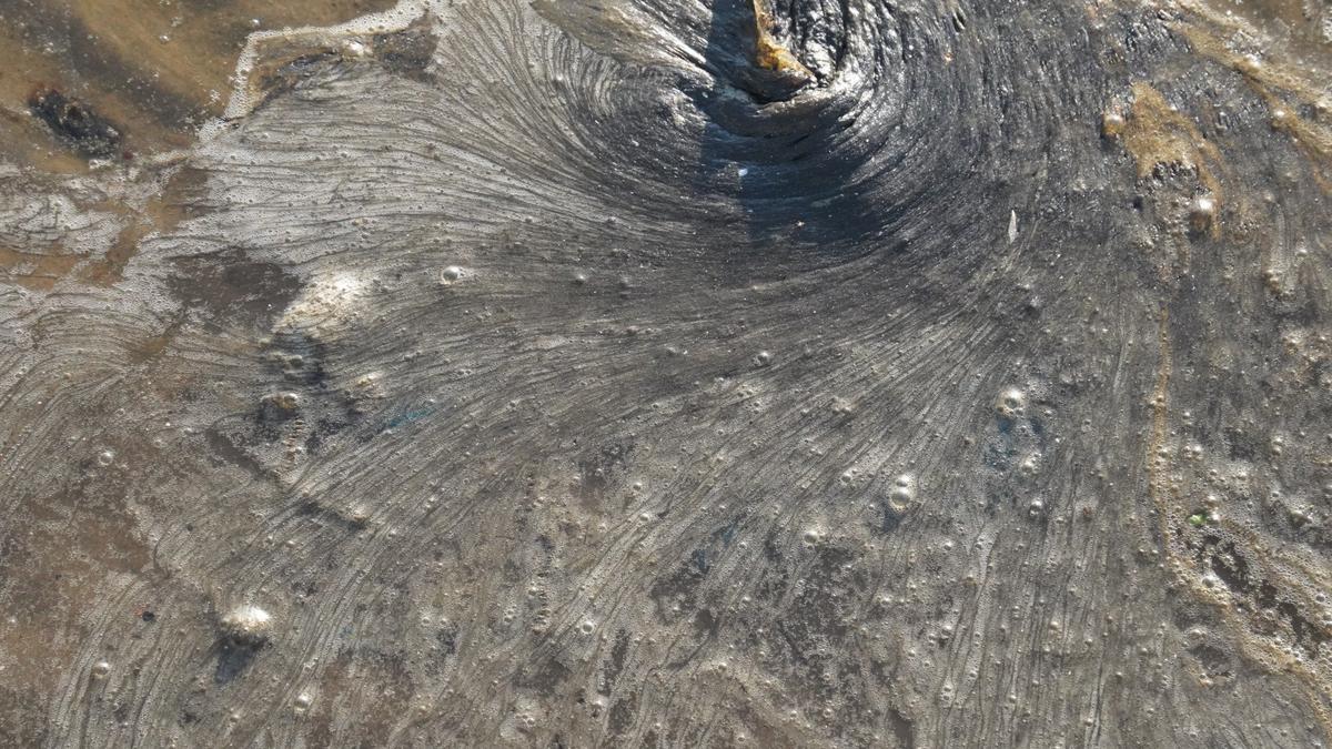 Фото: Павел Борисенко / МР7