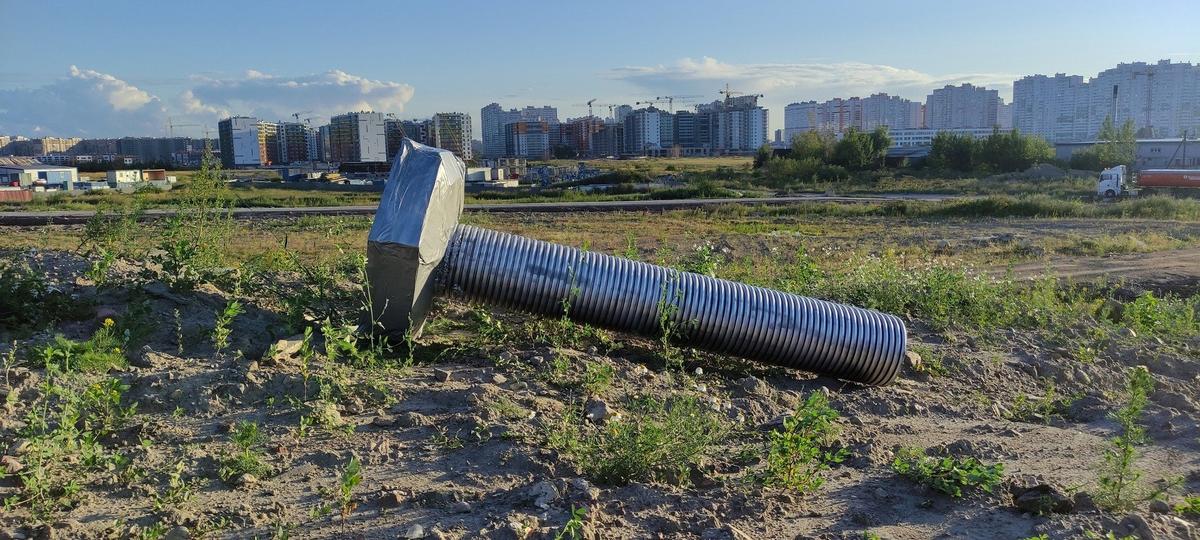 Фото: «Шумные Шушары»