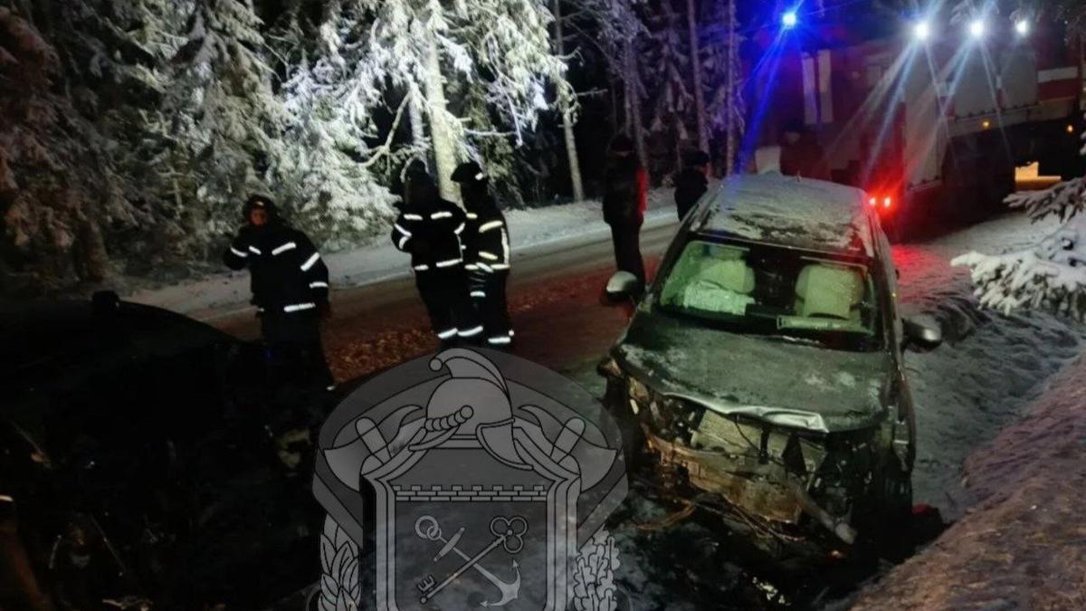 Фото: ГКУ «Леноблпожспас»