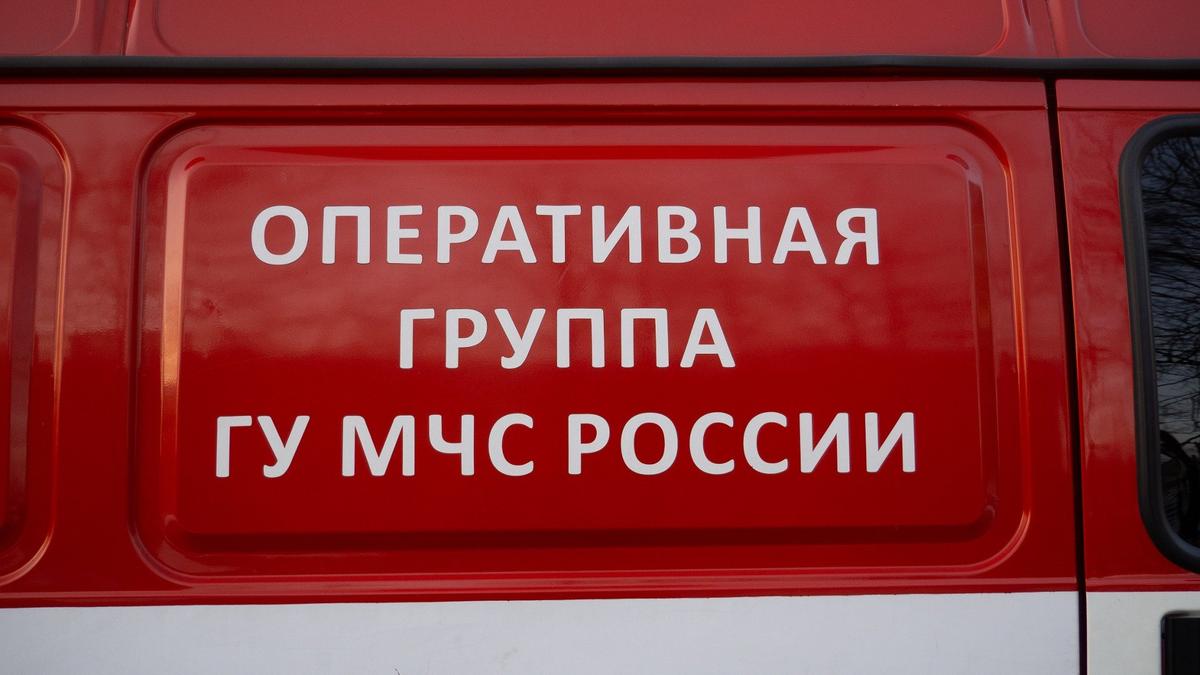 В Петербурге пожарные тушат магазин «Леруа Мерлен» на проспекте Будённого —  Новости Санкт-Петербурга › МР7.ру