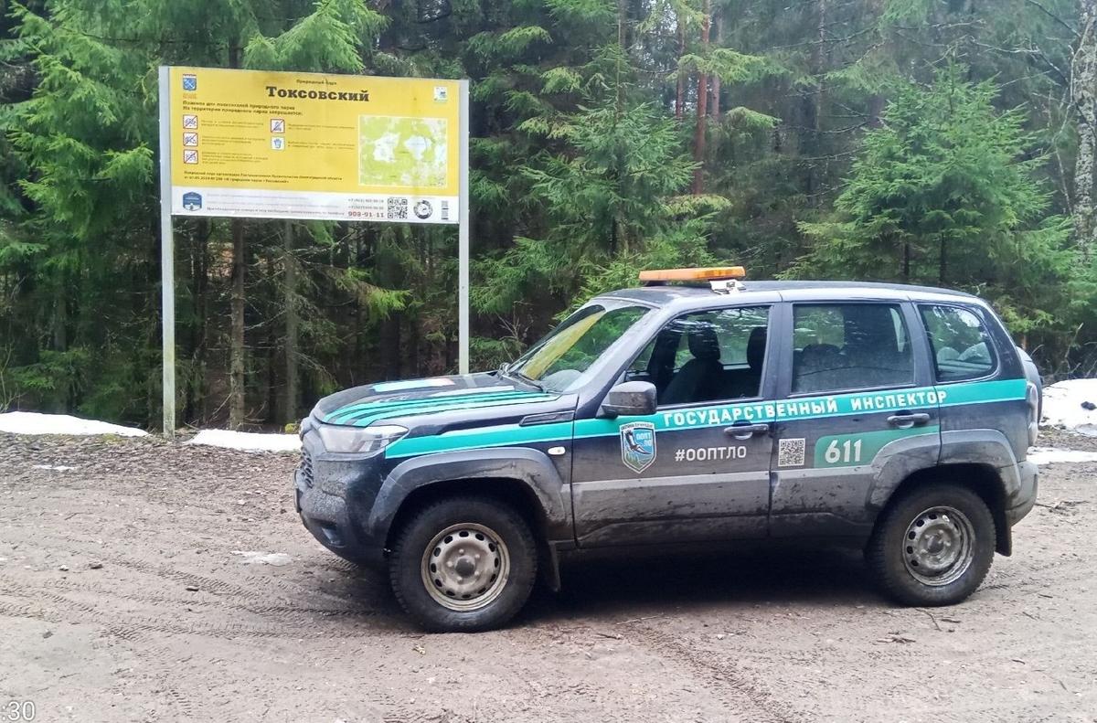 Фото: Дирекция ООПТ Ленинградской области